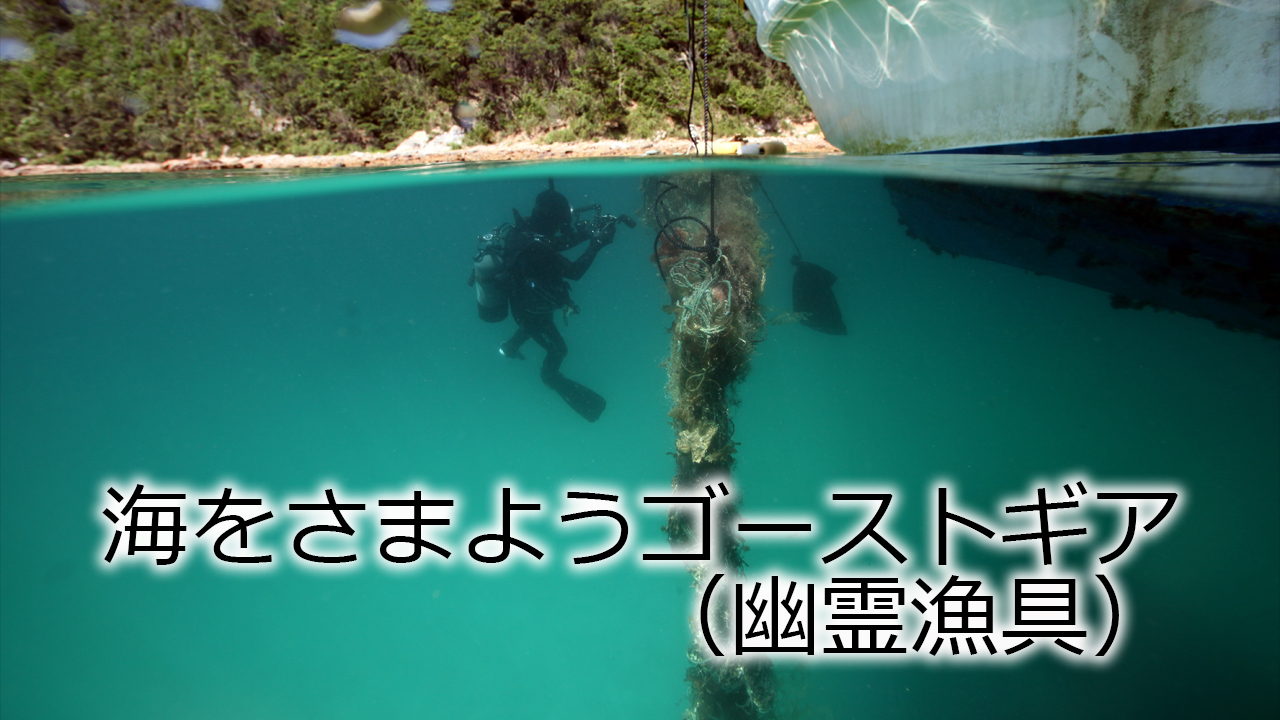 ys_shashin's tweet card. 海の生態系や船舶の航行に深刻な影響を与える海洋ごみ「ゴーストギア（幽霊漁具）」の回収作業が10日、長崎県五島列島沖で行われた。回収された漁網にはエビやカニが絡まっていた＝東京本社写真部　加藤学、西部本社写真部　板山康成撮影　2025年7月10日公開