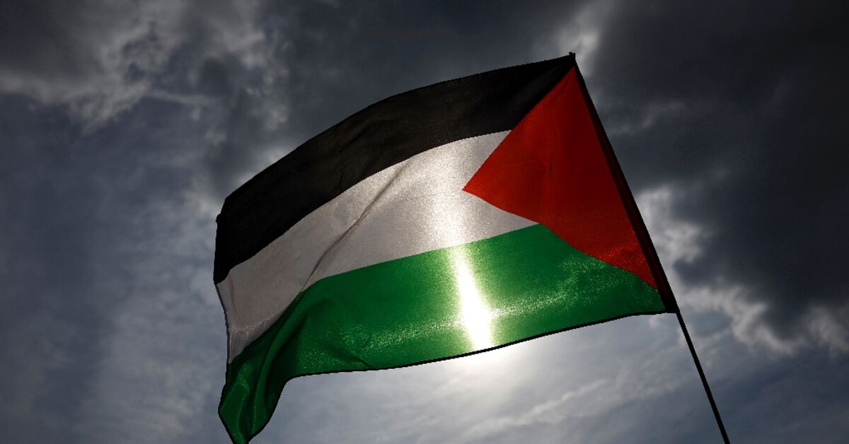 brothersjudd's tweet card. Fired by France's imminent recognition of Palestinian statehood, UN members meet next week to breathe life into the push for a two-state solution as Israel, expected to be absent, presses its war in...