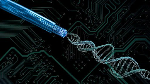 Sudhira's tweet card. New research sheds light on how electrons interact with the innate vibrations within DNA molecules, known as phonons, which could be harnessed for future technologies.