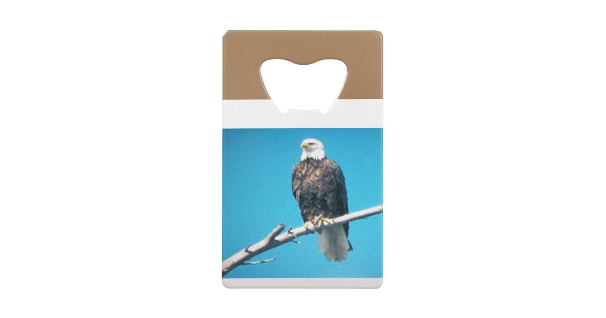 zazdesigner's tweet card. Photo taken in Canada by my father, Young R. Kirk. Customizable. Available in other styles of bottle openers.