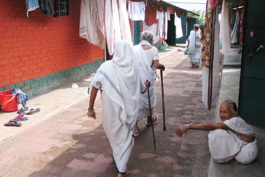 opinion_tt's tweet card. The erosion of familial care is not merely a moral failing but a consequence of broader systemic inadequacies that leave both elders and their families without viable alternatives