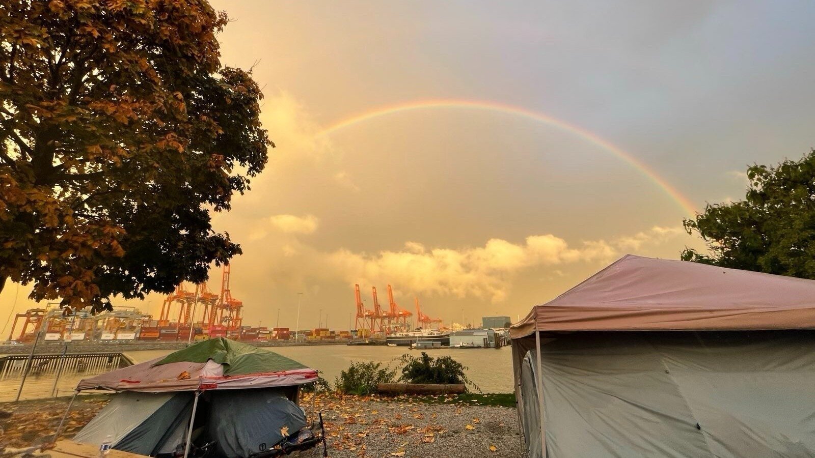 fionaeyork's tweet card. Save Crab Park Encampment