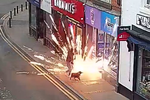 fireworkreform's tweet card. A young man seen kicking a box of fireworks which then launched towards a dog and pedestrians has appeared in court.