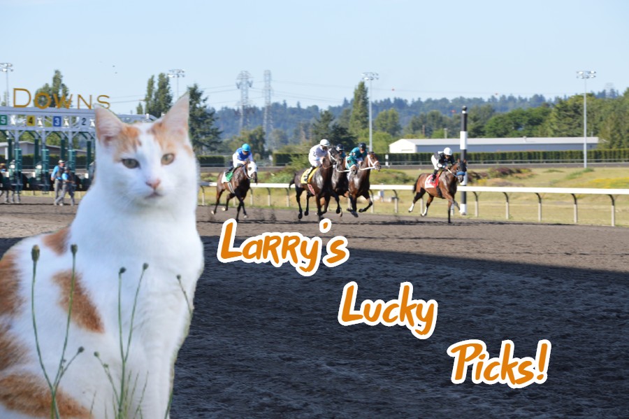 YourESN's tweet card. 7/25/2025 (Katlama, WA) Larry was due for a huge day and he nailed it, cashing nearly $1,800 from $600 in bets. He hit the all Stakes pick 5 with a $72 bet that returned over $800. He is back out of...