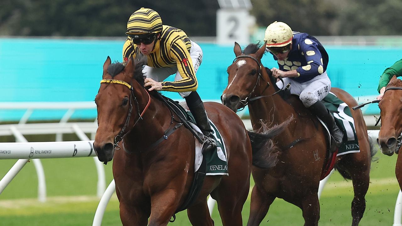 RacenetTweets's tweet card. Trainer Brad Widdup's decision to run Nashville Jack at Royal Randwick proved wise as the colt delivered a standout first-up performance.