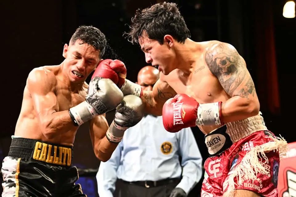 ryansongalia's tweet card. Strawweight contender Andy Dominguez scored the biggest win of his career Friday, outpointing former title challenger Byron Rojas in Atlantic City, New Jersey.