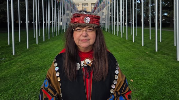 CFNGBI's tweet card. The president of the Coastal First Nations' Great Bear Initiative says it would not support any proposal for a pipeline to B.C.'s North Coast.