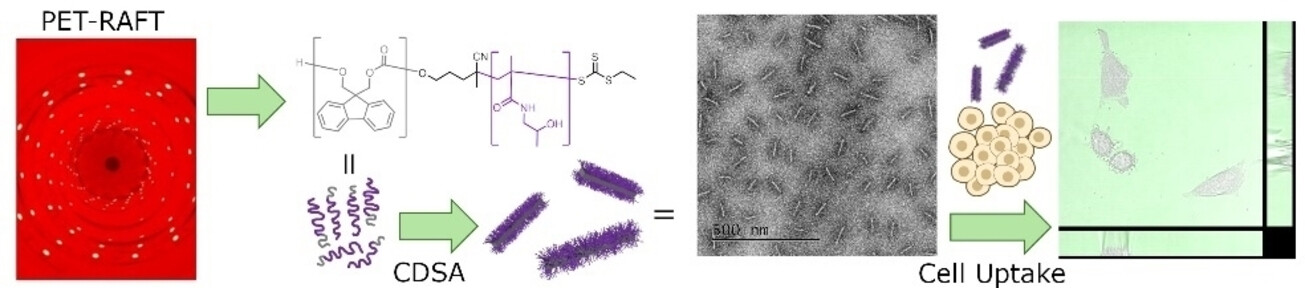 MannersResearch's tweet card. Stealth polymer nanofibers are promising therapeutic delivery systems that suffer from challenging functionalization. In this work we harness photoinduced electron/energy transfer reversible additi...