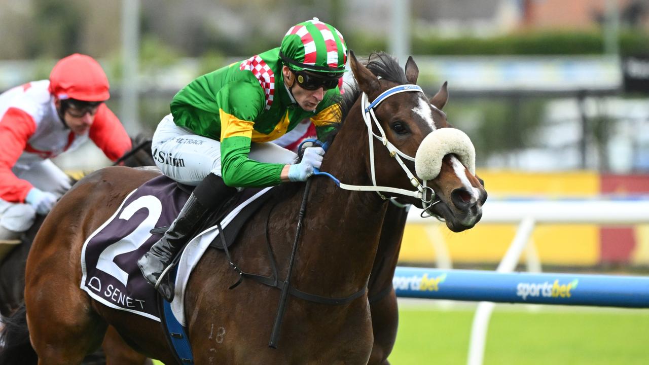 RacenetTweets's tweet card. Ole Dancer will target the Group 1 Thousand Guineas after she stayed unbeaten at Caulfield despite trainer Peter Moody expressing some concern about her lack of development.