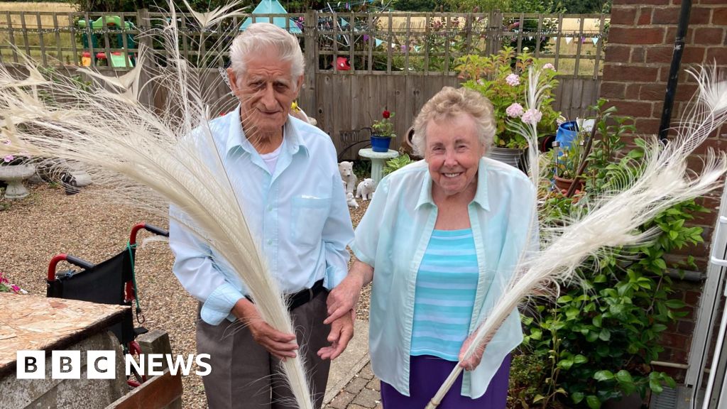 BBC3CR's tweet card. A couple say the "stunning" bird turned up in their garden in June.