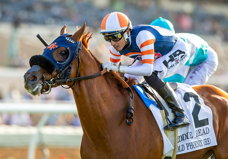 lrfracing's tweet card. Gold Phoenix will be making his 26th start Sunday in the Grade II Eddie Read Stakes.