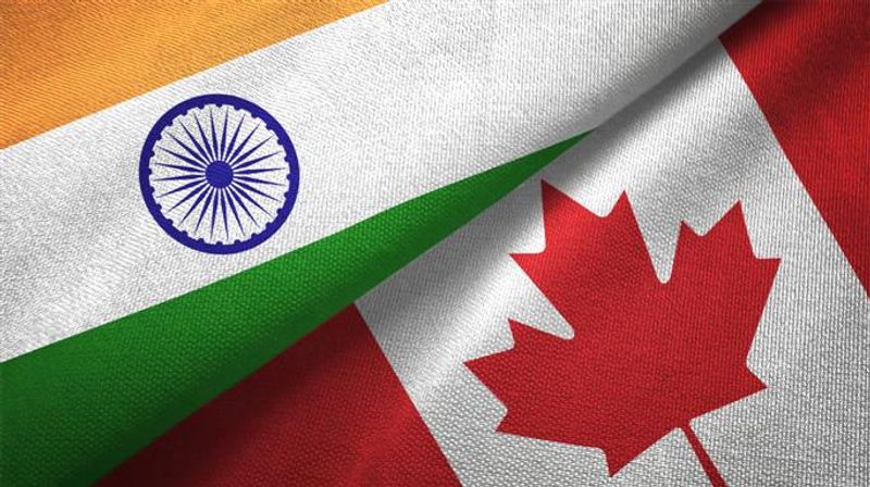 thetribunechd's tweet card. #CanadaCalling: A staggering surge: 1,350 per cent increase in online hate.