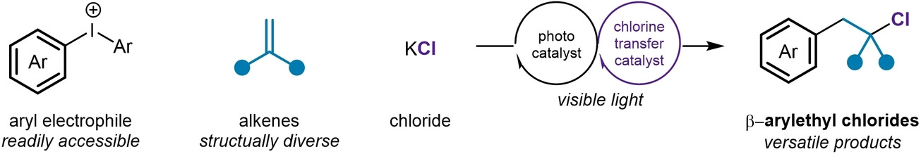 MatthewGaunt8's tweet card. We report a visible-light-mediated dual catalysis strategy for the modular synthesis of highly functionalized and structurally diverse 1-aryl, 2-chloroalkanes via the coupling of diaryliodonium...
