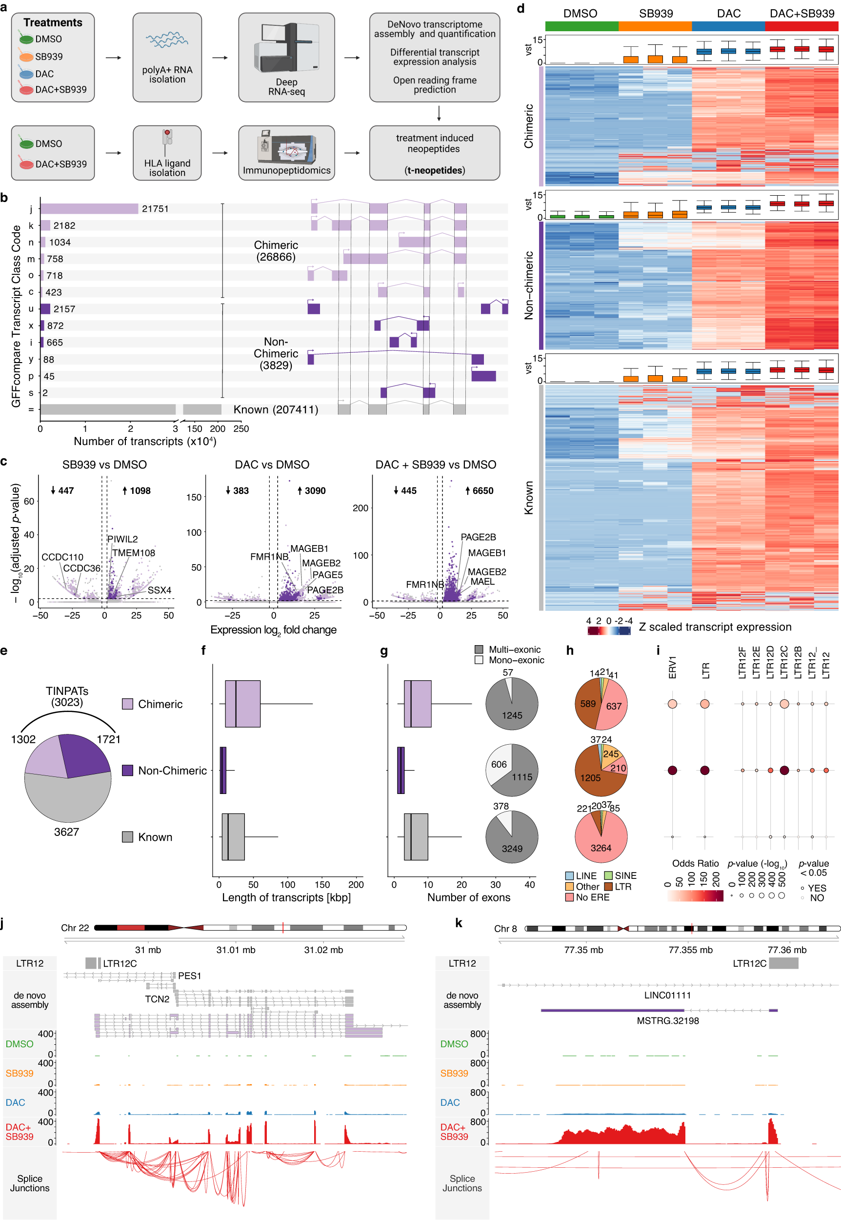 HeyJosch's tweet card. Nature Communications - Epigenetic therapies are known to synergize with immunotherapies through the de-repression of endogenous retroviral element (ERV)-encoded promoters. Here the authors...