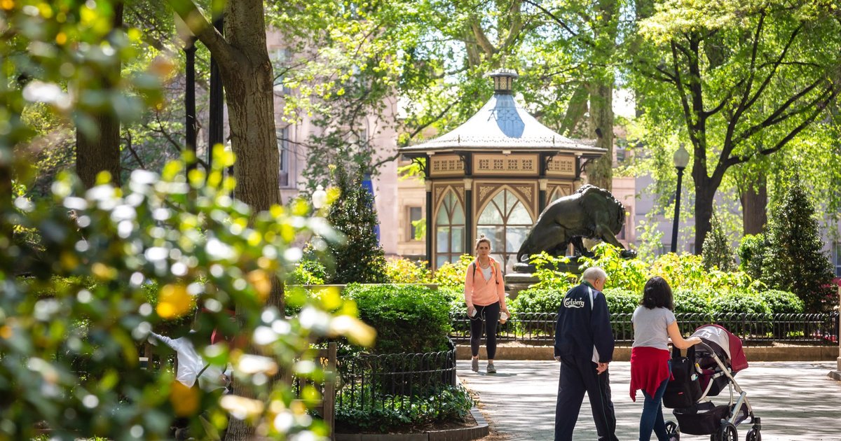 MutterMuseum's tweet card. From Rittenhouse Square to hidden gems like the 'cat park' in Mantua, psychology students identified 28 spots across the city that boost well-being.