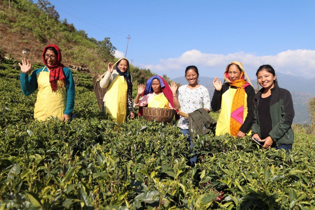 ComDev_Asia's tweet card. As we celebrate the International Mother Earth Day this week, the United Nations recognized the role and effort of women, especially from Asia and the Pacifi as stewards of the environment. Through a...