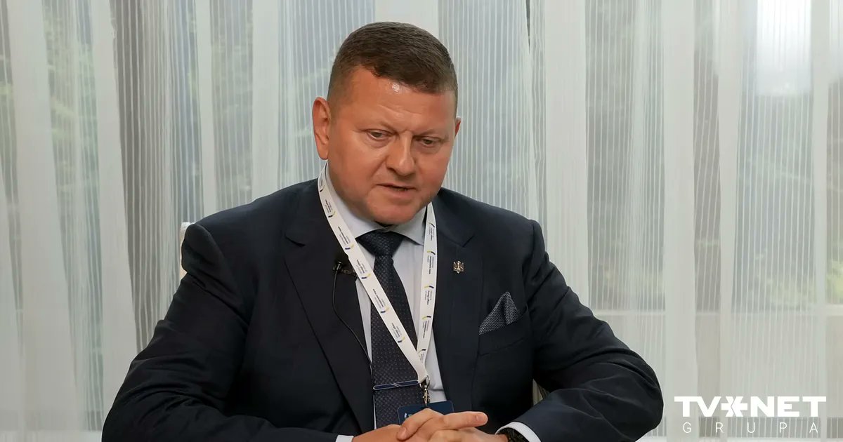 TVNET_zinas's tweet card. Bijušais armijas virspavēlnieks un pašreizējais Ukrainas vēstnieks Apvienotajā Karalistē Valērijs Zalužnijs uzskata, ka NATO nav gatava nākamajam karam, jo tā tikai pārapbruņojas, nevis maina...