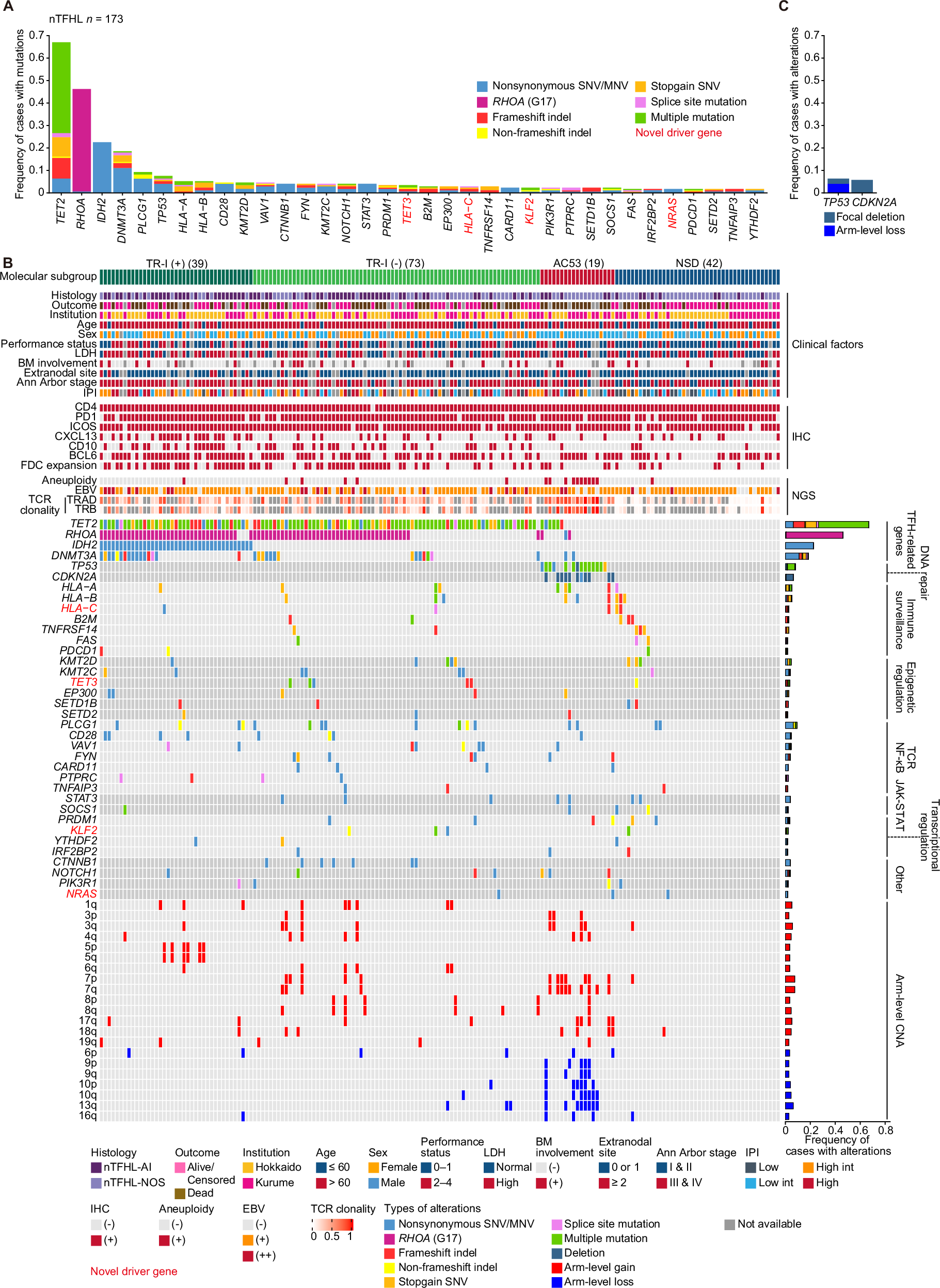 kataoka_lab's tweet card. Leukemia - TP53 and CDKN2A alterations define a poor prognostic subgroup in patients with nodal T follicular helper cell lymphoma