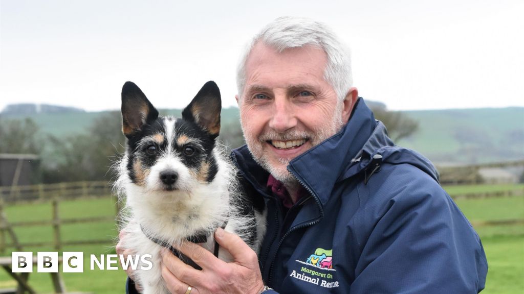 BBCSpotlight's tweet card. Margaret Green Animal Rescue celebrating its 60th anniversary this year.