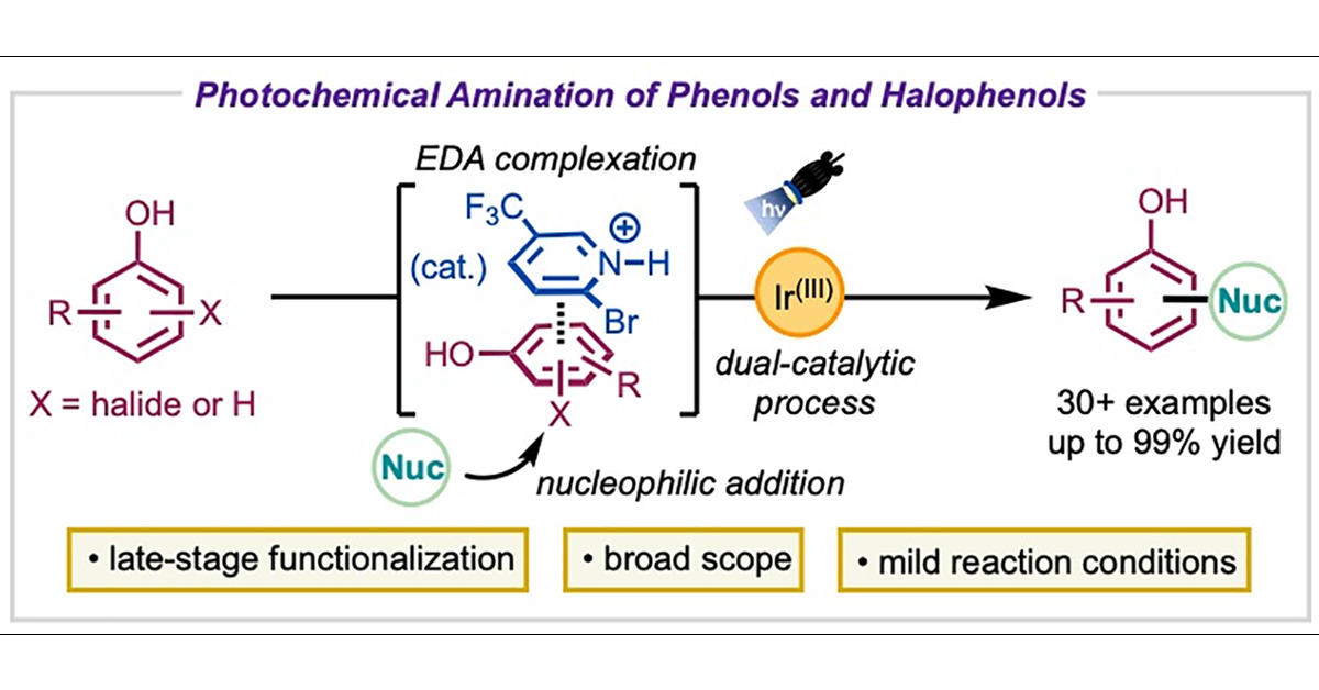 mccarson23's tweet card. In this study, we present a photochemical method for the amination of phenols (C–H) and halophenols (SNAr), facilitated by dual catalytic pathways involving both Ir(III) photocatalysis and phenol–p...