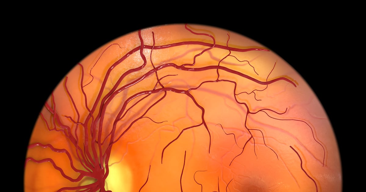 oliverblacque's tweet card. Irish researchers confirm tiny worm acts as effective model in detecting human mutations linked to eye conditions that can lead to blindness