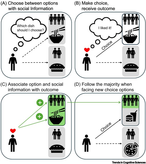 DSchultner's tweet card. Adaptive behaviour relies on selective social learning, yet the mechanisms underlying this capacity remain debated. A new account demonstrates that key strategies can emerge through reward-based...