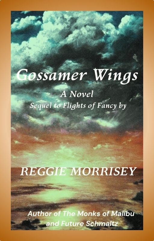 ReadingLadiesBC's tweet card. Today’s guest is Reggie Morrisey. She is answering my #ThreeTwoOne quickfire questions about her contemporary novel Gossamer Wings. Over to Reggie to tell us more. Tell me THREE things about …