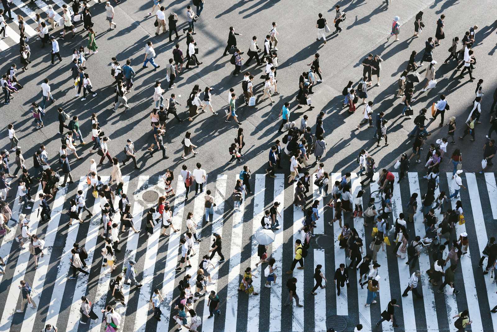 Kerollmops's tweet card. Discover how to build a thriving open-source community, attract recurring contributors, and effectively manage contributions for a healthy project