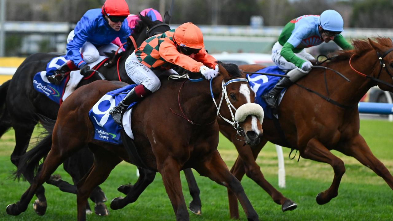 RacenetTweets's tweet card. Peter Moody will raise the bar again for Bridal Waltz after the filly took out the Group 3 Bletchingly Stakes – it's just a matter of when.