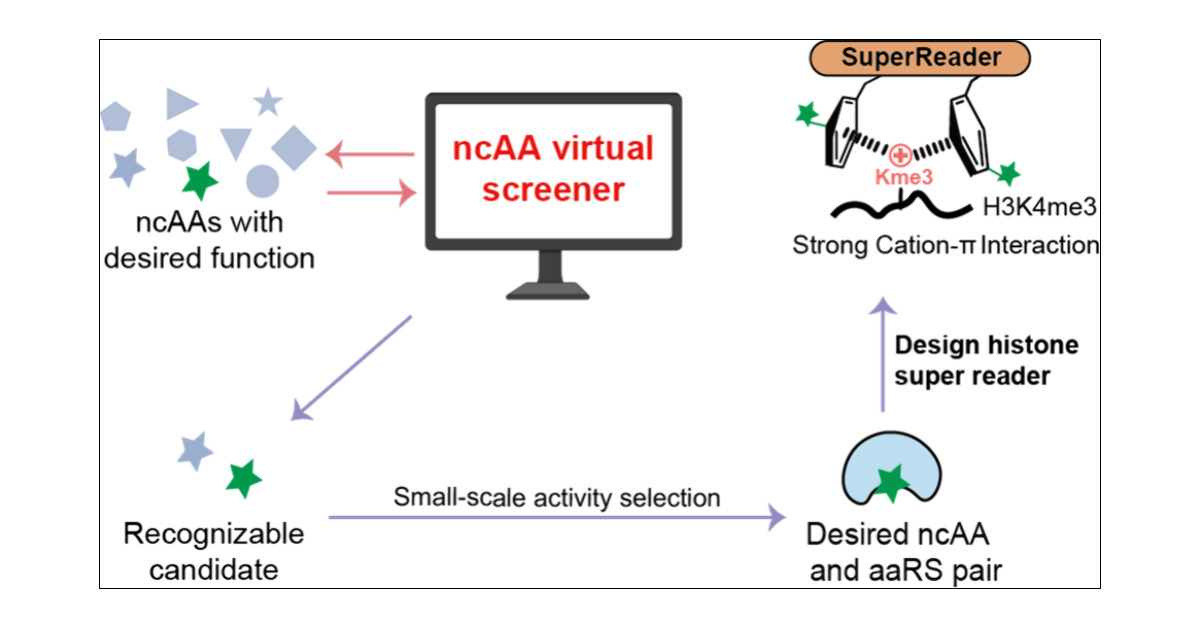 Linlab_ZJU's tweet card. Genetic encoding of noncanonical amino acids (ncAAs) with desired functionalities is an invaluable tool for the study of biological processes and the development of therapeutic drugs. However,...