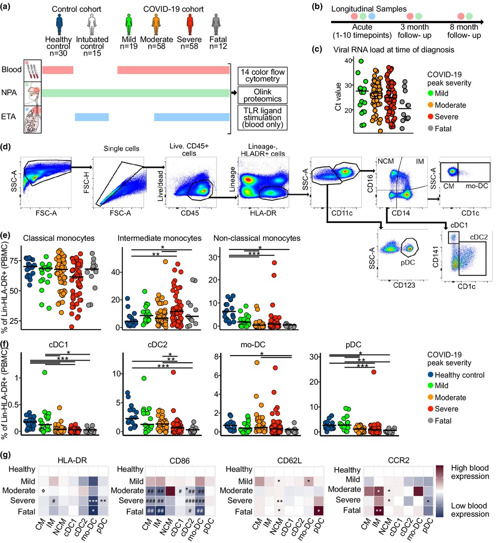 ClinTransImmuno's tweet card. By analysing 147 COVID-19 patients with different level of disease severity using flow cytometry, functional assays and proteomics, we found that severe COVID-19 is marked by a significant decrease...