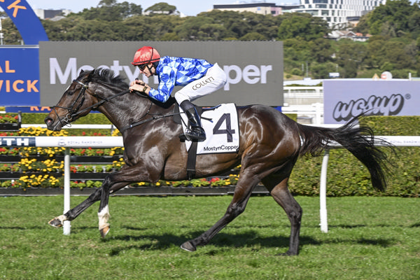 BreednetNews's tweet card. Coolmore stalwart So You Think is powering to the end of the Australian racing season with a five winner flurry on Saturday highlighted by a winning treble at Randwick led by his progressive mare Oh...