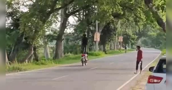 ZEEUPUK's tweet card. Gonda Stunt Video: वैसे तो अपने अलग-अलग तरीके से लोगों के स्टंट करते हुए देखा होगा, लेकिन गोंडा में कुछ अलग तरीके से ही एक युवक बाइक के सीट पर खड़े होकर जानलेवा स्टंट किया. जिसका वीडियो सोशल मीडिया...