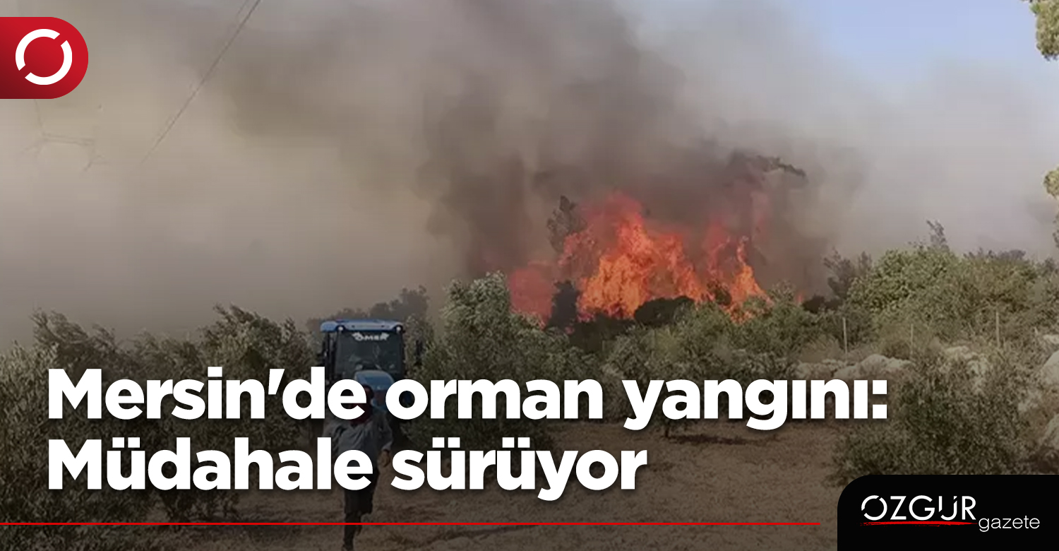 CyprusNewspaper's tweet card. Türkiye'nin Mersin ilindeki Silifke ilçesindeki ormanlık alanda çıkan yangına havadan ve karadan müdahale  sürüyor. Yerleşim yerlerine de yak