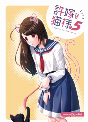 onukiaoi's tweet card. 許嫁な猫様5はSignal red 大貫葵の作品です。通販、予約は業界最速のメロンブックスにお任せ！