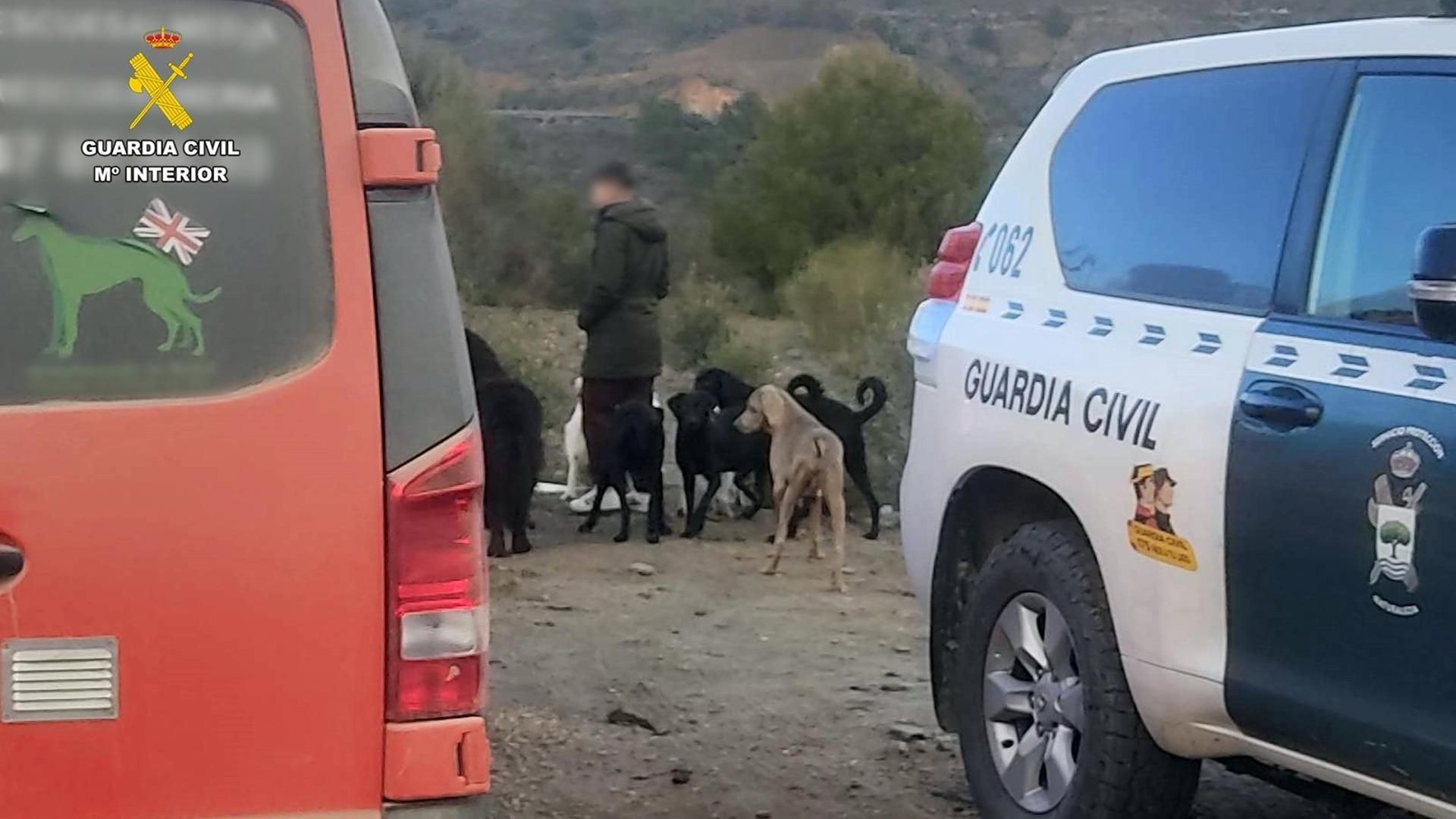 joel27799310's tweet card. La Guardia Civil de la Comandancia de Almería investiga a dos personas , supuestamente responsables de un criadero/santuario para animales maltratad