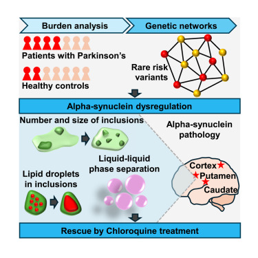 ZS_biophys's tweet card. Eubanks et al. found that gene expression networks that are specific for brain regions that develop high degrees of alpha-synuclein pathology carry an increased frequency of rare risk variants in...