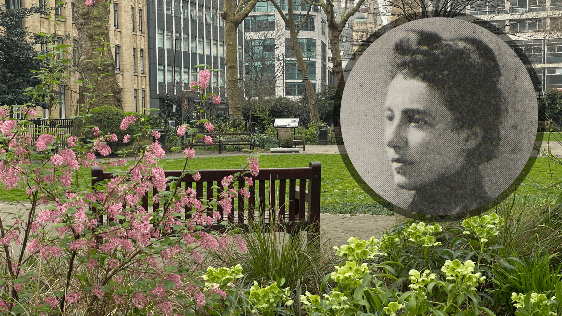 Look_UpLondon's tweet card. Fanny Wilkinson, the first female professional landscape gardener created over 75 public gardens for London. This is her story...