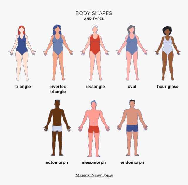 fone41's tweet card. It is a truth universally acknowledged that human beings come in all shapes and sizes. One site that celebrates this diversity is The Photographic Height/Weight Chart which is trying to compile a p…