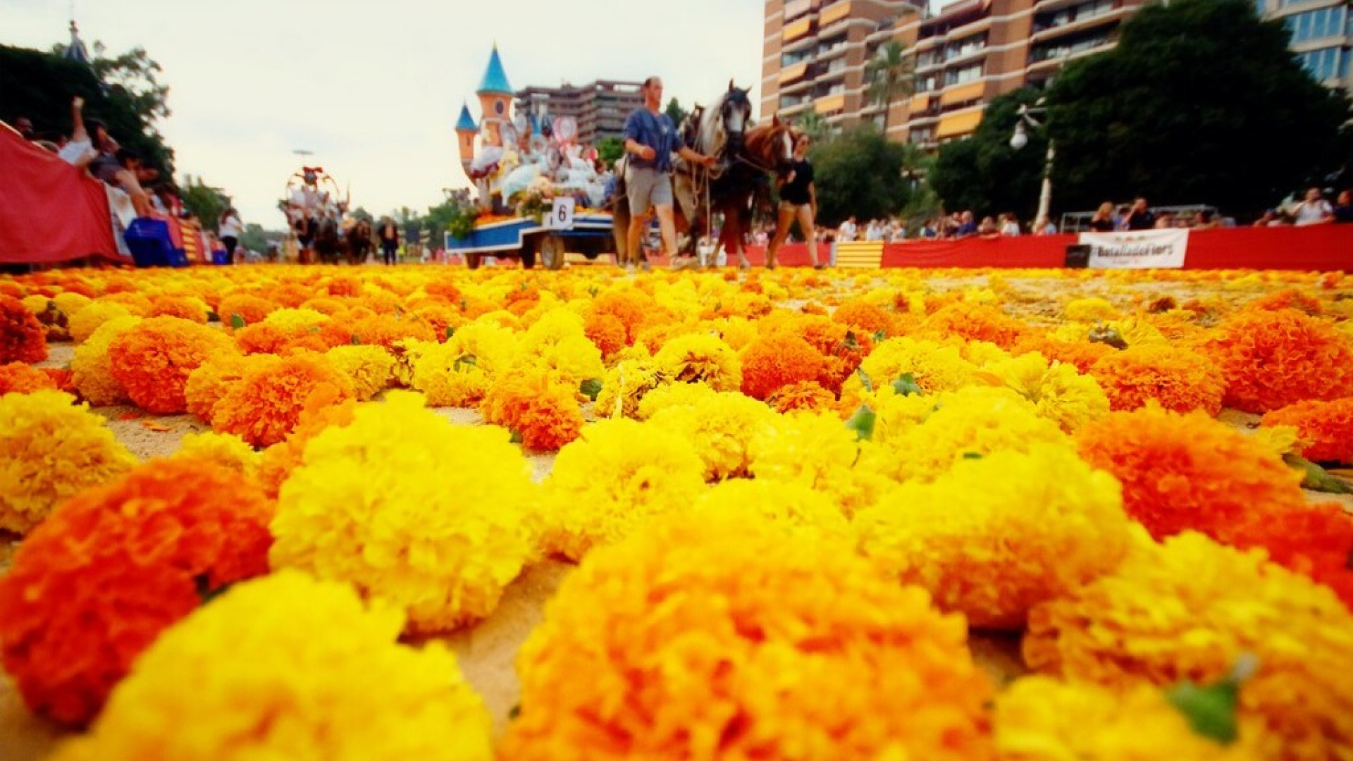 COPEValencia's tweet card. La Batalla de Flores presentará un total de 30 carrozas ricamente adornadas y más de 1,3 millones de clavellons como “munición”