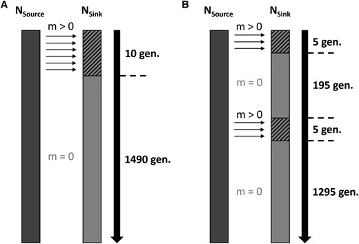 mathiascurrat's tweet card. Abstract. Hybridization is recognized as an important evolutionary force, but identifying and timing admixture events between divergent lineages remain a m