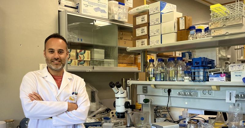 NestorGarRod's tweet card. Néstor García Rodríguez y su equipo del Centro Andaluz de Biología Molecular y Medicina Regenerativa descubren una nueva debilidad en estas células tumorales, lo que abre la posibilidad de desarrol...