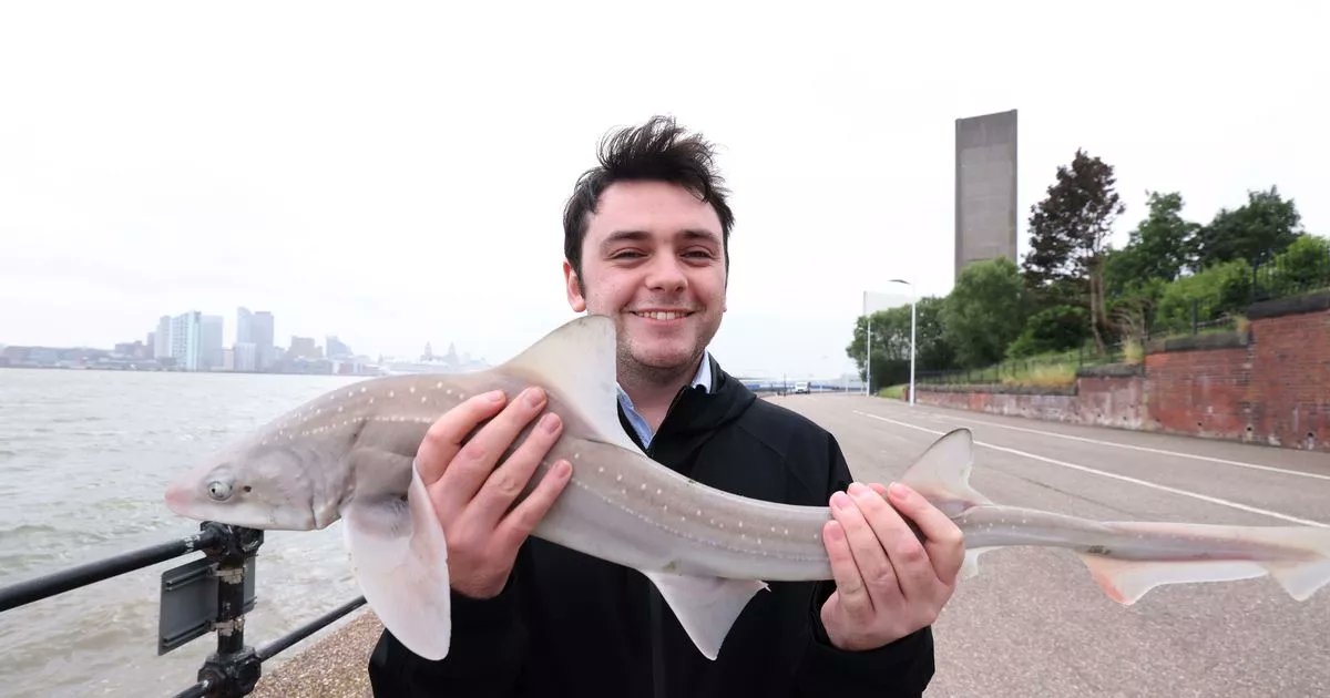 jamiemgreer's tweet card. I've never fished before - but after I was told I could catch a shark, I couldn't resist