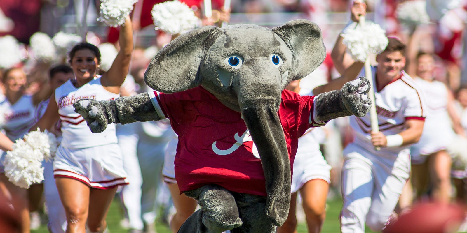 TideSports's tweet card. Alabama's general manager will tell fans about the team's recruiting and the preparation for the 2025 football season.