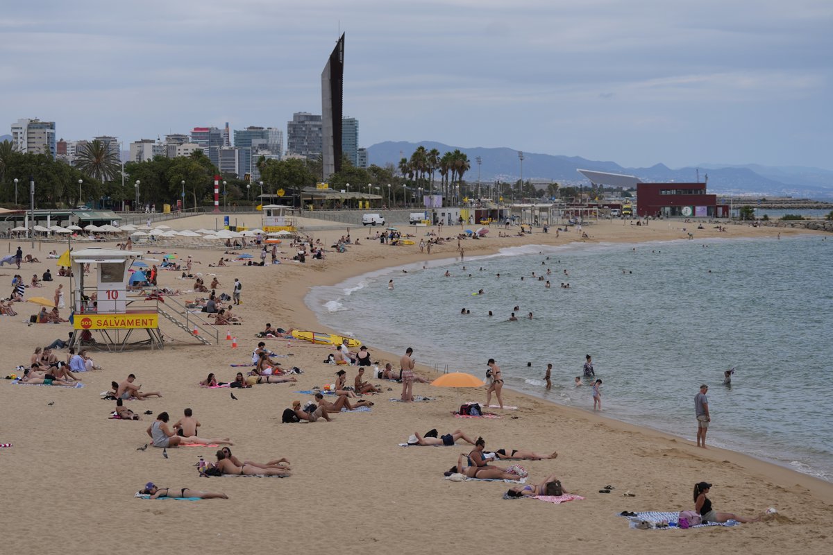 dsconecta's tweet card. Durante la temporada de verano, la seguridad en playas y piscinas se convierte en una prioridad. Ante el...