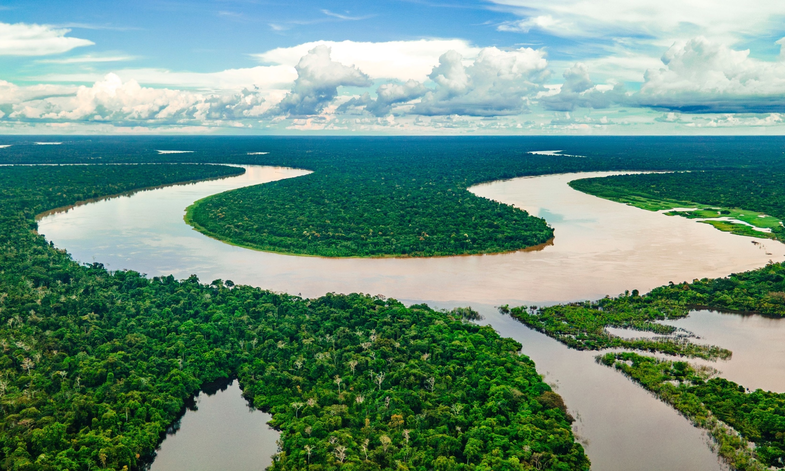 EliGreenbaumPhD's tweet card. New study shows Amazon rainfall stable despite deforestation, but seasonal shifts threaten regional ecosystem balance.