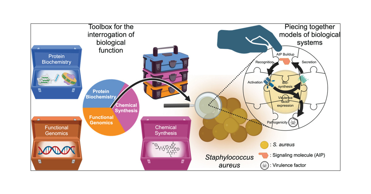 MuirLab's tweet card. ConspectusMethodological development in the fields of genetics, chemical biology, and biochemistry over the last several decades has provided researchers with a diverse set of powerful tools to...