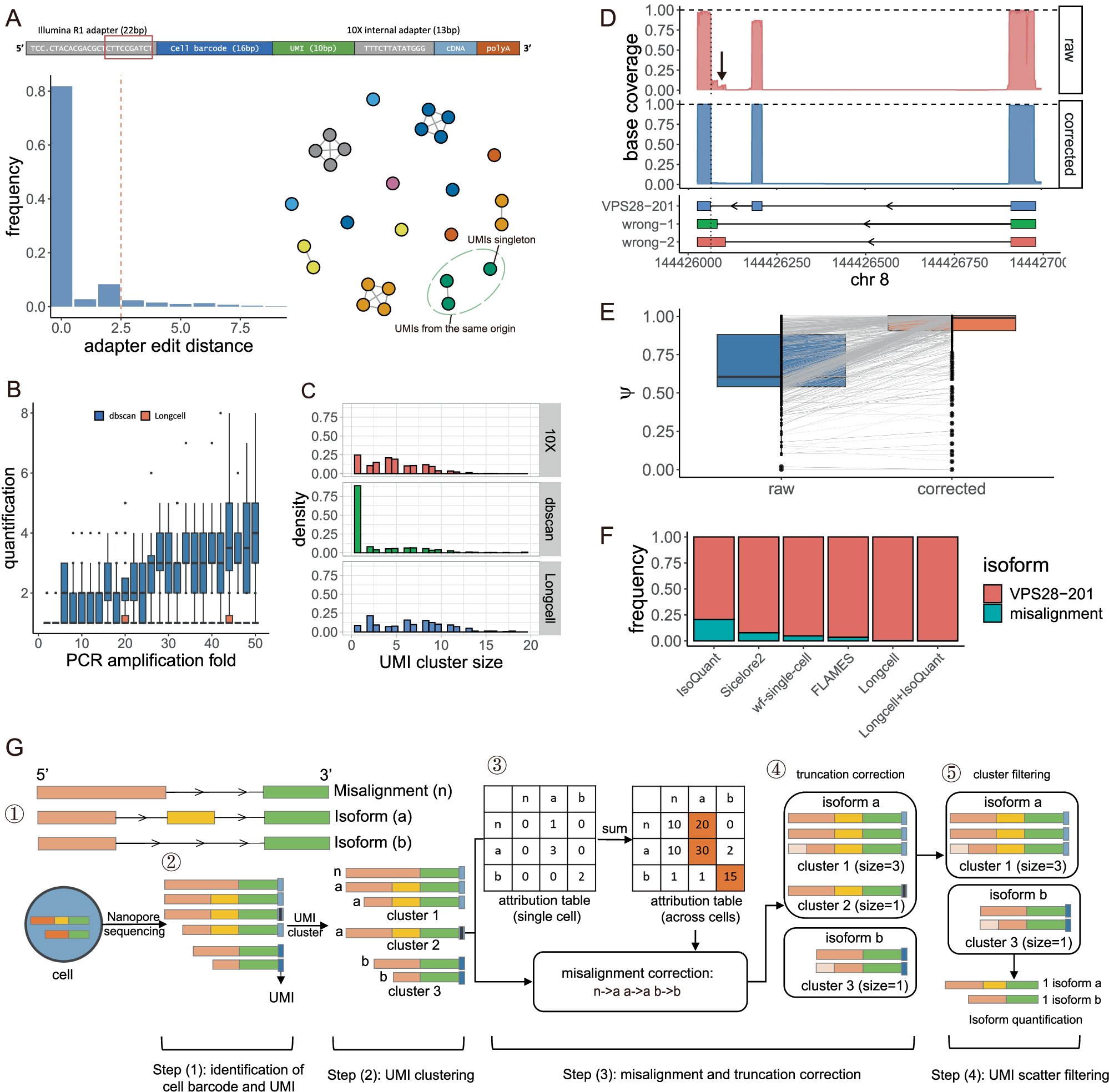sgqcheng's tweet card. Nature Communications - Single-cell isoform quantification using Nanopore long reads remains limited by sequencing errors. Here, authors present Longcell, a computational framework that corrects...
