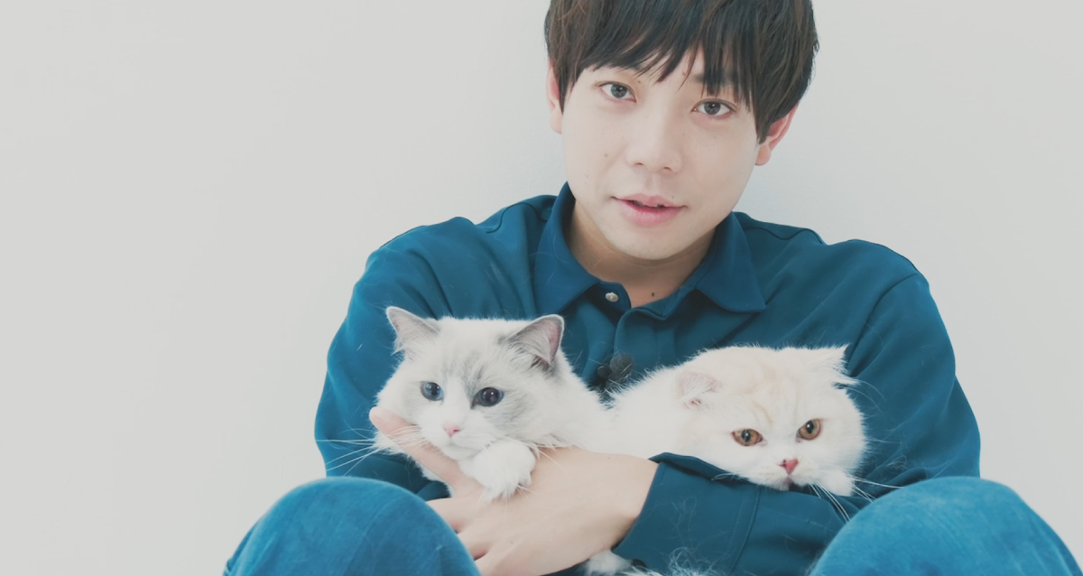 anan_mag's tweet card. テレビ番組『嗚呼!!みんなの動物園』でもおなじみ、「ニャレ兄」こと、ティモンディの前田さんが愛してやまないノエルさんとリオンさん。前田さんのスマートフォンのカメラロールのなかの写真とともに、愛猫たちとの生活を語っていただきました。（※ この…
