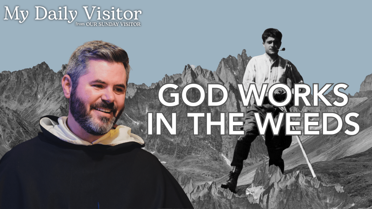 OSV's tweet card. Holiness grows in struggle, as Jesus’ teaching and Pier Giorgio Frassati’s example inspire us to faithful patience in God and perseverance.